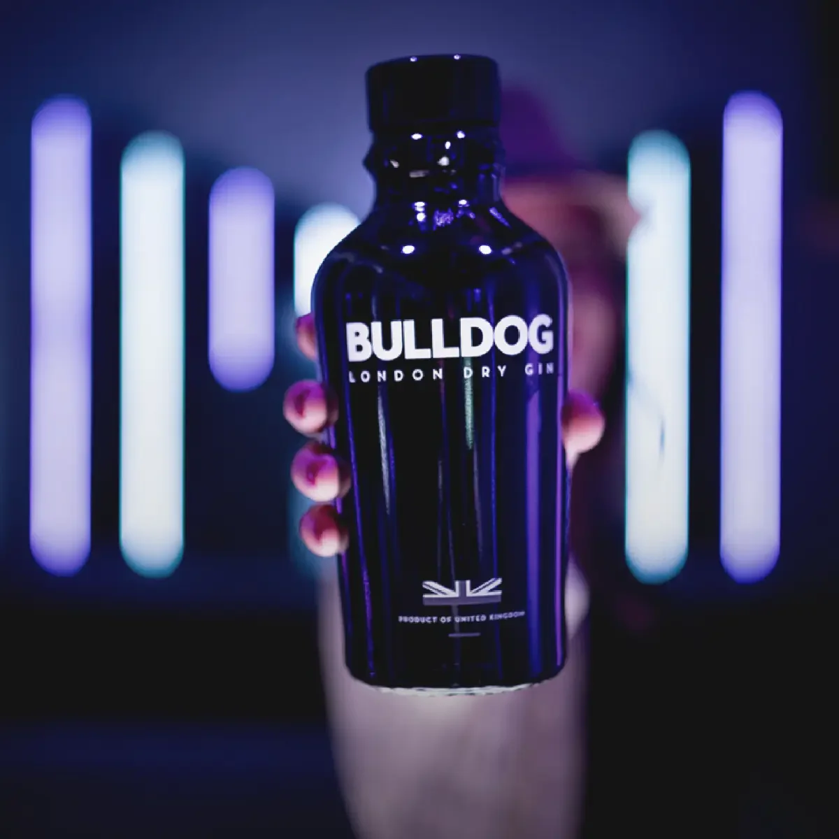 Bulldog
